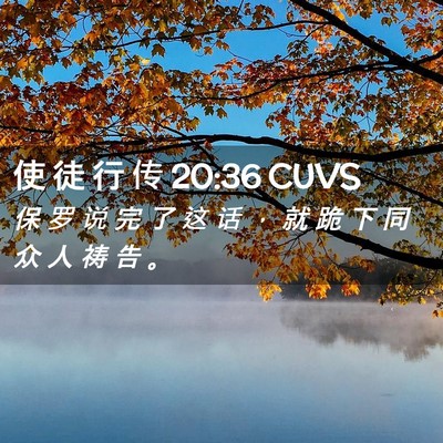 Picture 02 - 使 徒 行 传 20:36 CUVS - 保 罗 说 完 了 这 话 ， 就 跪 下 同 - Bible Verse Picture