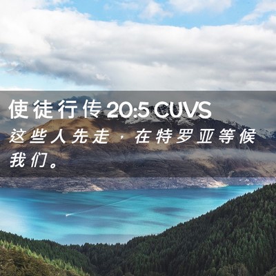 Picture 02 - 使 徒 行 传 20:5 CUVS - 这 些 人 先 走 ， 在 特 罗 亚 等 候 - Bible Verse Picture