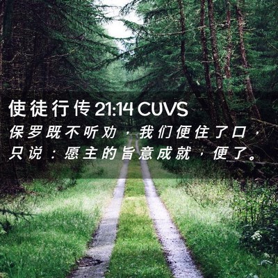 Picture 02 - 使 徒 行 传 21:14 CUVS - 保 罗 既 不 听 劝 ， 我 们 便 住 了 - Bible Verse Picture