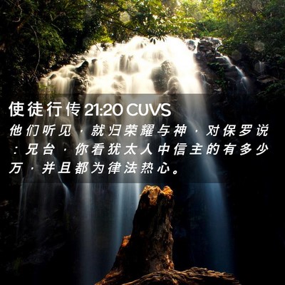 Picture 02 - 使 徒 行 传 21:20 CUVS - 他 们 听 见 ， 就 归 荣 耀 与 神 ， - Bible Verse Picture