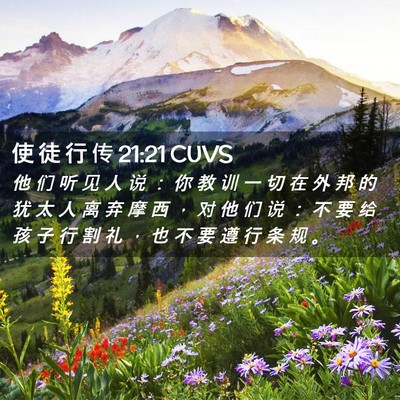 Picture 02 - 使 徒 行 传 21:21 CUVS - 他 们 听 见 人 说 ： 你 教 训 一 切 - Bible Verse Picture