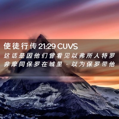 Picture 02 - 使 徒 行 传 21:29 CUVS - 这 话 是 因 他 们 曾 看 见 以 弗 所 - Bible Verse Picture