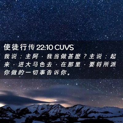 Picture 02 - 使 徒 行 传 22:10 CUVS - 我 说 ： 主 阿 ， 我 当 做 甚 麽 ？ - Bible Verse Picture