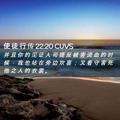 Picture 02 - 使 徒 行 传 22:20 CUVS - 并 且 你 的 见 证 人 司 提 反 被 害 - Bible Verse Picture