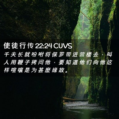 Picture 02 - 使 徒 行 传 22:24 CUVS - 千 夫 长 就 吩 咐 将 保 罗 带 进 营 - Bible Verse Picture