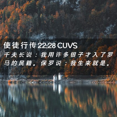 Picture 02 - 使 徒 行 传 22:28 CUVS - 千 夫 长 说 ： 我 用 许 多 银 子 才 - Bible Verse Picture