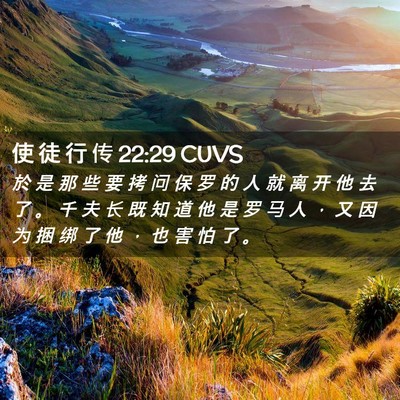 Picture 02 - 使 徒 行 传 22:29 CUVS - 於 是 那 些 要 拷 问 保 罗 的 人 就 - Bible Verse Picture