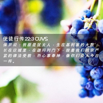 Picture 02 - 使 徒 行 传 22:3 CUVS - 保 罗 说 ： 我 原 是 犹 太 人 ， 生 - Bible Verse Picture