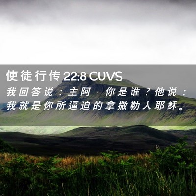Picture 02 - 使 徒 行 传 22:8 CUVS - 我 回 答 说 ： 主 阿 ， 你 是 谁 ？ - Bible Verse Picture