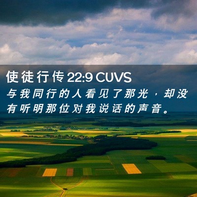 Picture 02 - 使 徒 行 传 22:9 CUVS - 与 我 同 行 的 人 看 见 了 那 光 ， - Bible Verse Picture