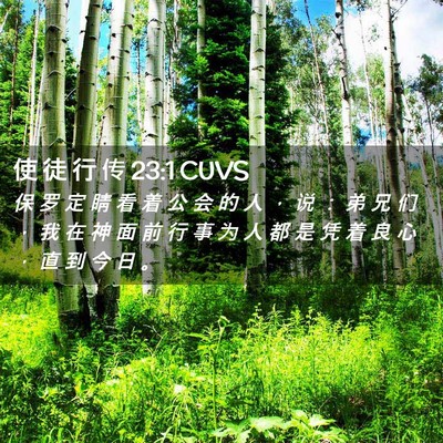 Picture 02 - 使 徒 行 传 23:1 CUVS - 保 罗 定 睛 看 着 公 会 的 人 ， 说 - Bible Verse Picture