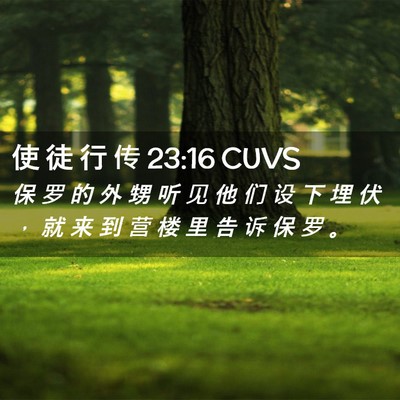 Picture 02 - 使 徒 行 传 23:16 CUVS - 保 罗 的 外 甥 听 见 他 们 设 下 埋 - Bible Verse Picture