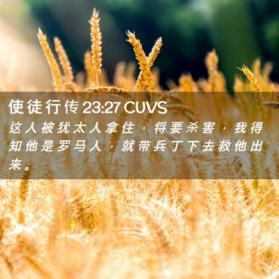Picture 02 - 使 徒 行 传 23:27 CUVS - 这 人 被 犹 太 人 拿 住 ， 将 要 杀 - Bible Verse Picture
