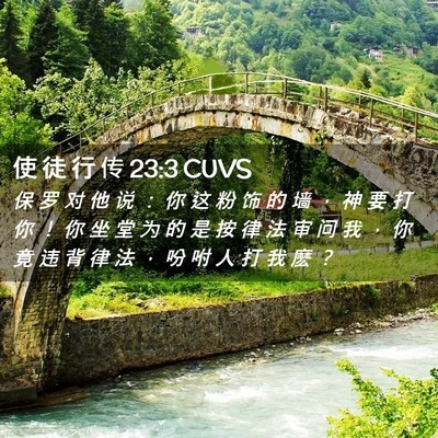 Picture 02 - 使 徒 行 传 23:3 CUVS - 保 罗 对 他 说 ： 你 这 粉 饰 的 墙 - Bible Verse Picture