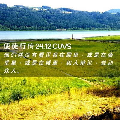 Picture 02 - 使 徒 行 传 24:12 CUVS - 他 们 并 没 有 看 见 我 在 殿 里 ， - Bible Verse Picture