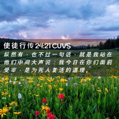 Picture 02 - 使 徒 行 传 24:21 CUVS - 纵 然 有 ， 也 不 过 一 句 话 ， 就 - Bible Verse Picture