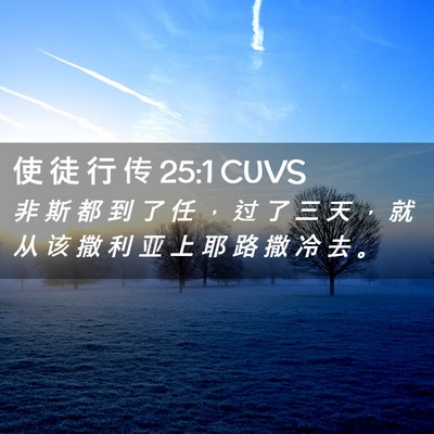 Picture 02 - 使 徒 行 传 25:1 CUVS - 非 斯 都 到 了 任 ， 过 了 三 天 ， - Bible Verse Picture