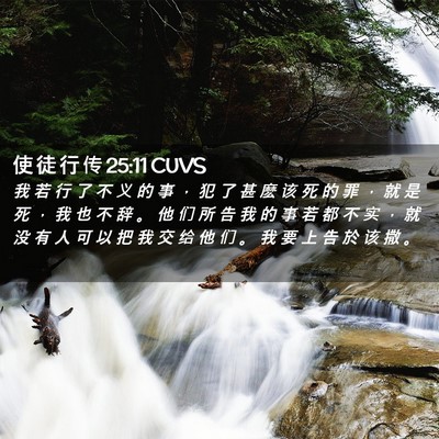Picture 02 - 使 徒 行 传 25:11 CUVS - 我 若 行 了 不 义 的 事 ， 犯 了 甚 - Bible Verse Picture