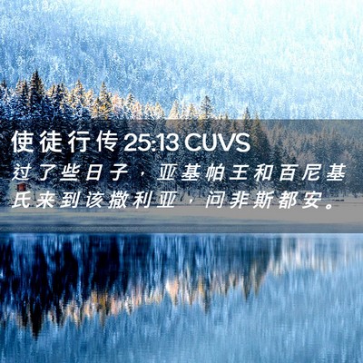 Picture 02 - 使 徒 行 传 25:13 CUVS - 过 了 些 日 子 ， 亚 基 帕 王 和 百 - Bible Verse Picture