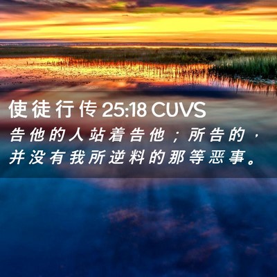 Picture 02 - 使 徒 行 传 25:18 CUVS - 告 他 的 人 站 着 告 他 ； 所 告 的 - Bible Verse Picture