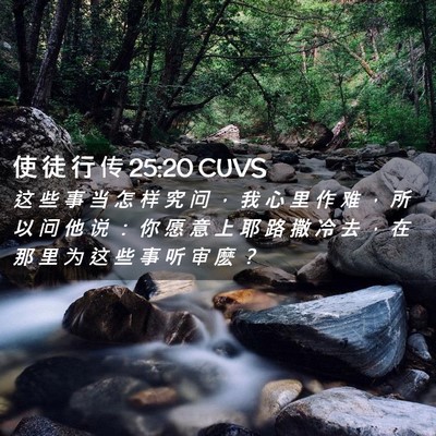 Picture 02 - 使 徒 行 传 25:20 CUVS - 这 些 事 当 怎 样 究 问 ， 我 心 里 - Bible Verse Picture