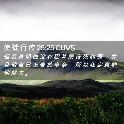 Picture 02 - 使 徒 行 传 25:25 CUVS - 但 我 查 明 他 没 有 犯 甚 麽 该 死 - Bible Verse Picture