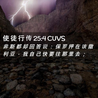 Picture 02 - 使 徒 行 传 25:4 CUVS - 非 斯 都 却 回 答 说 ： 保 罗 押 在 - Bible Verse Picture