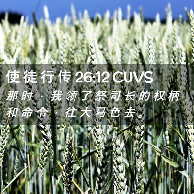 Picture 02 - 使 徒 行 传 26:12 CUVS - 那 时 ， 我 领 了 祭 司 长 的 权 柄 - Bible Verse Picture