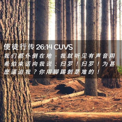 Picture 02 - 使 徒 行 传 26:14 CUVS - 我 们 都 仆 倒 在 地 ， 我 就 听 见 - Bible Verse Picture