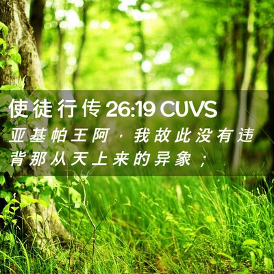Picture 02 - 使 徒 行 传 26:19 CUVS - 亚 基 帕 王 阿 ， 我 故 此 没 有 违 - Bible Verse Picture