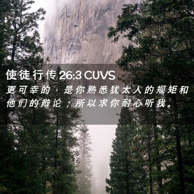 Picture 02 - 使 徒 行 传 26:3 CUVS - 更 可 幸 的 ， 是 你 熟 悉 犹 太 人 - Bible Verse Picture