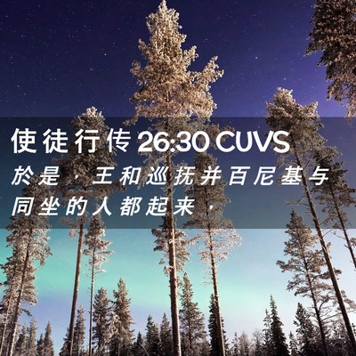 Picture 02 - 使 徒 行 传 26:30 CUVS - 於 是 ， 王 和 巡 抚 并 百 尼 基 与 - Bible Verse Picture