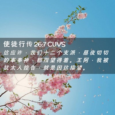 Picture 02 - 使 徒 行 传 26:7 CUVS - 这 应 许 ， 我 们 十 二 个 支 派 ， - Bible Verse Picture