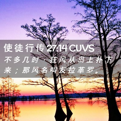 Picture 02 - 使 徒 行 传 27:14 CUVS - 不 多 几 时 ， 狂 风 从 岛 上 扑 下 - Bible Verse Picture