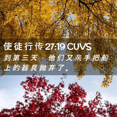 Picture 02 - 使 徒 行 传 27:19 CUVS - 到 第 三 天 ， 他 们 又 亲 手 把 船 - Bible Verse Picture
