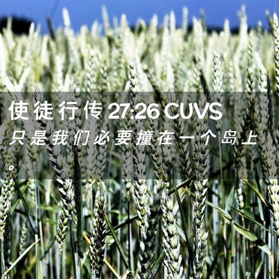 Picture 02 - 使 徒 行 传 27:26 CUVS - 只 是 我 们 必 要 撞 在 一 个 岛 上 - Bible Verse Picture
