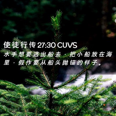 Picture 02 - 使 徒 行 传 27:30 CUVS - 水 手 想 要 逃 出 船 去 ， 把 小 船 - Bible Verse Picture