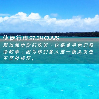Picture 02 - 使 徒 行 传 27:34 CUVS - 所 以 我 劝 你 们 吃 饭 ， 这 是 关 - Bible Verse Picture