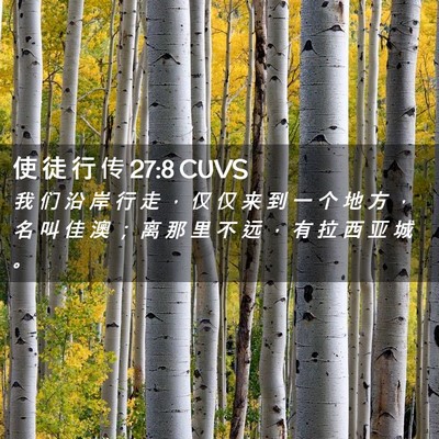 Picture 02 - 使 徒 行 传 27:8 CUVS - 我 们 沿 岸 行 走 ， 仅 仅 来 到 一 - Bible Verse Picture