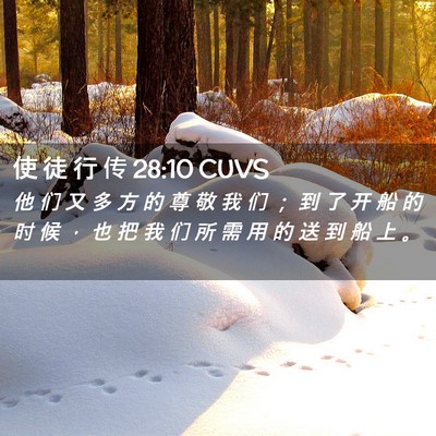 Picture 02 - 使 徒 行 传 28:10 CUVS - 他 们 又 多 方 的 尊 敬 我 们 ； 到 - Bible Verse Picture