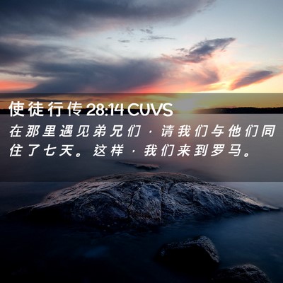 Picture 02 - 使 徒 行 传 28:14 CUVS - 在 那 里 遇 见 弟 兄 们 ， 请 我 们 - Bible Verse Picture