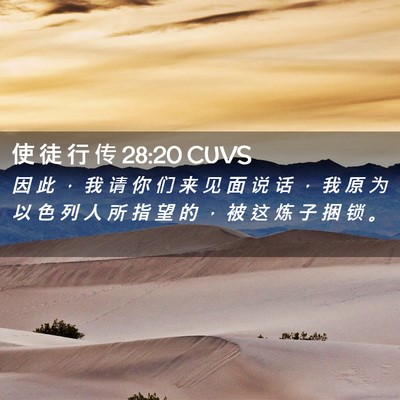Picture 02 - 使 徒 行 传 28:20 CUVS - 因 此 ， 我 请 你 们 来 见 面 说 话 - Bible Verse Picture