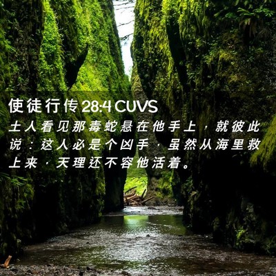 Picture 02 - 使 徒 行 传 28:4 CUVS - 土 人 看 见 那 毒 蛇 悬 在 他 手 上 - Bible Verse Picture