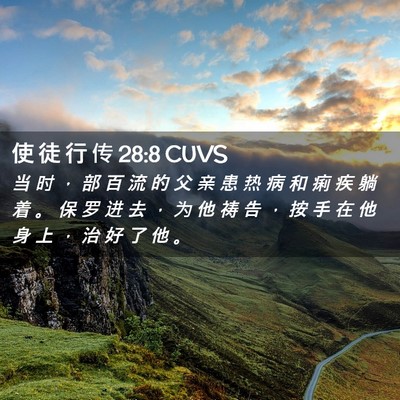 Picture 02 - 使 徒 行 传 28:8 CUVS - 当 时 ， 部 百 流 的 父 亲 患 热 病 - Bible Verse Picture