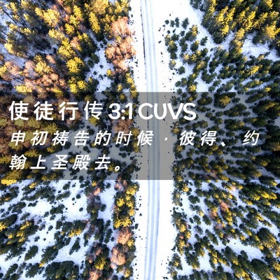 Picture 02 - 使 徒 行 传 3:1 CUVS - 申 初 祷 告 的 时 候 ， 彼 得 、 约 - Bible Verse Picture