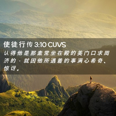 Picture 02 - 使 徒 行 传 3:10 CUVS - 认 得 他 是 那 素 常 坐 在 殿 的 美 - Bible Verse Picture