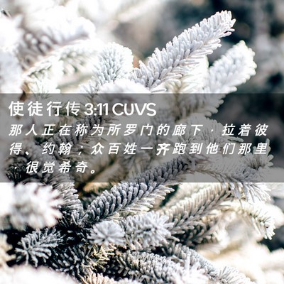 Picture 02 - 使 徒 行 传 3:11 CUVS - 那 人 正 在 称 为 所 罗 门 的 廊 下 - Bible Verse Picture