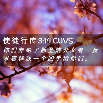 Picture 02 - 使 徒 行 传 3:14 CUVS - 你 们 弃 绝 了 那 圣 洁 公 义 者 ， - Bible Verse Picture