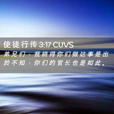 Picture 02 - 使 徒 行 传 3:17 CUVS - 弟 兄 们 ， 我 晓 得 你 们 做 这 事 - Bible Verse Picture