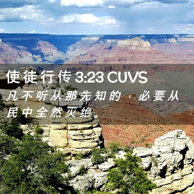 Picture 02 - 使 徒 行 传 3:23 CUVS - 凡 不 听 从 那 先 知 的 ， 必 要 从 - Bible Verse Picture